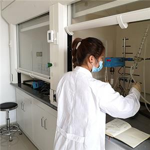 研發(fā)團(tuán)隊(duì)