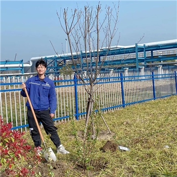 2022年3月植樹(shù)活動(dòng)