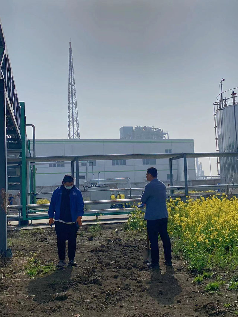 2022年3月植樹活動