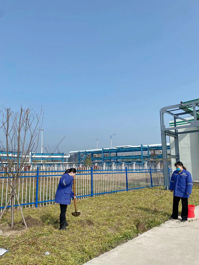 2022年3月植樹(shù)活動(dòng)