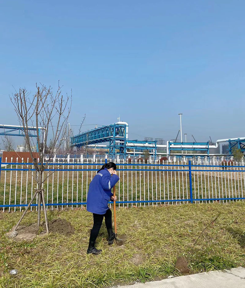 2022年3月植樹活動