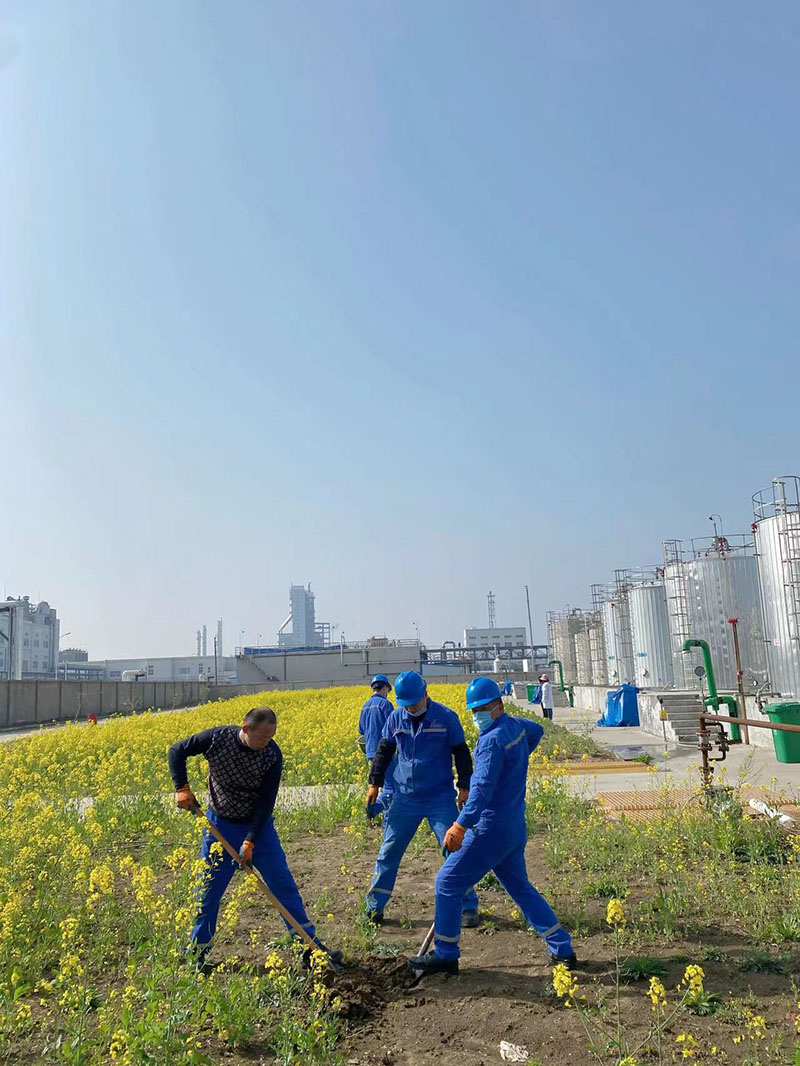 2022年3月植樹活動