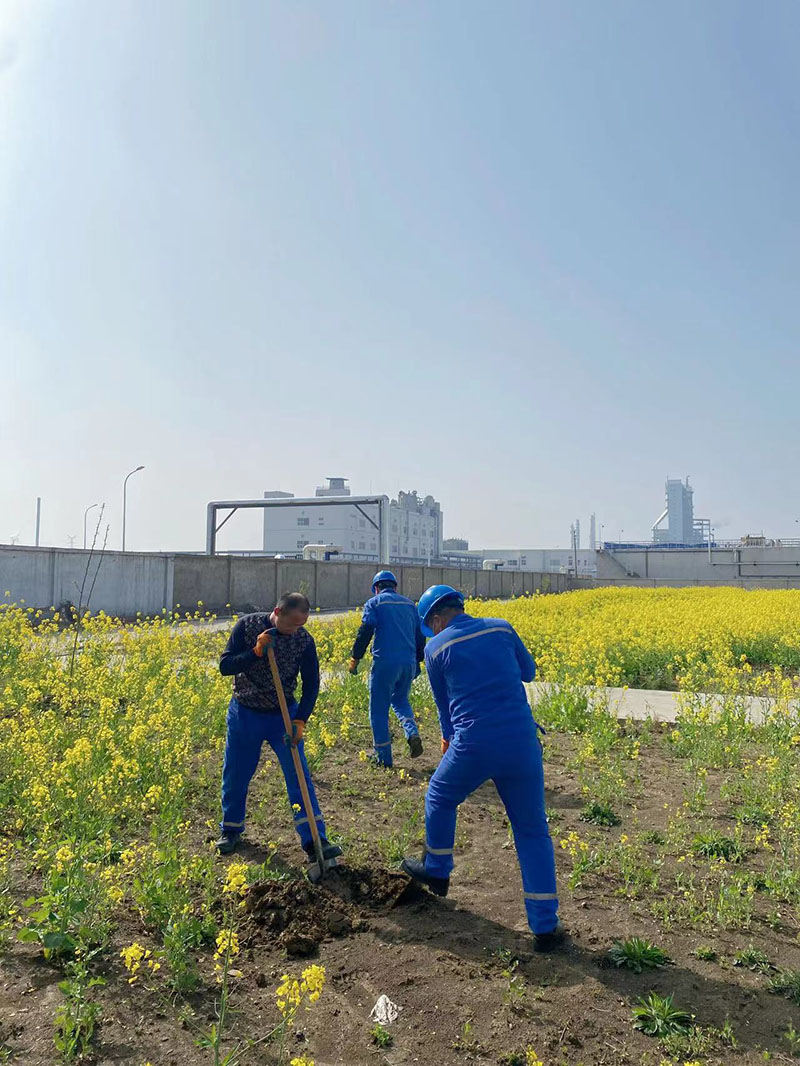 2022年3月植樹(shù)活動(dòng)