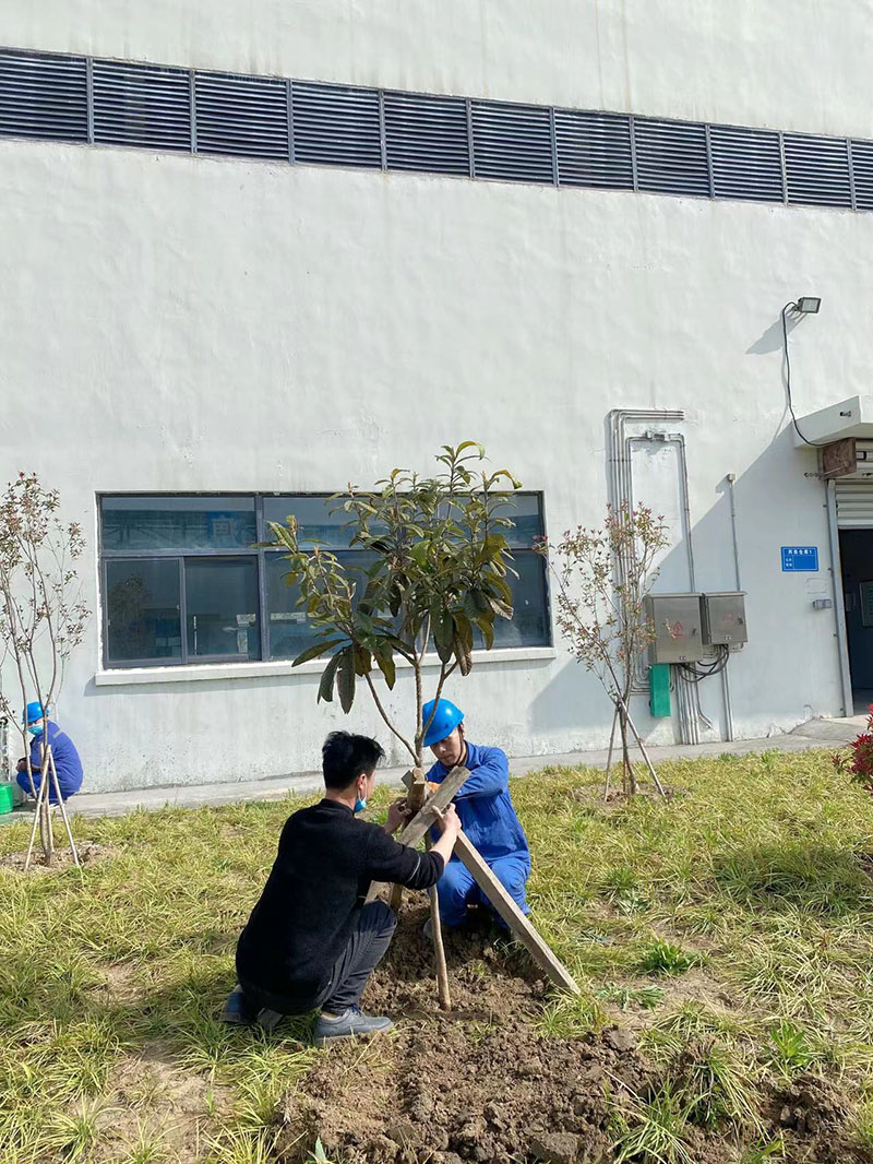 2022年3月植樹活動
