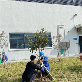 2022年3月植樹活動(dòng)