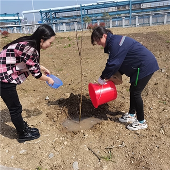2022年3月植樹活動(dòng)