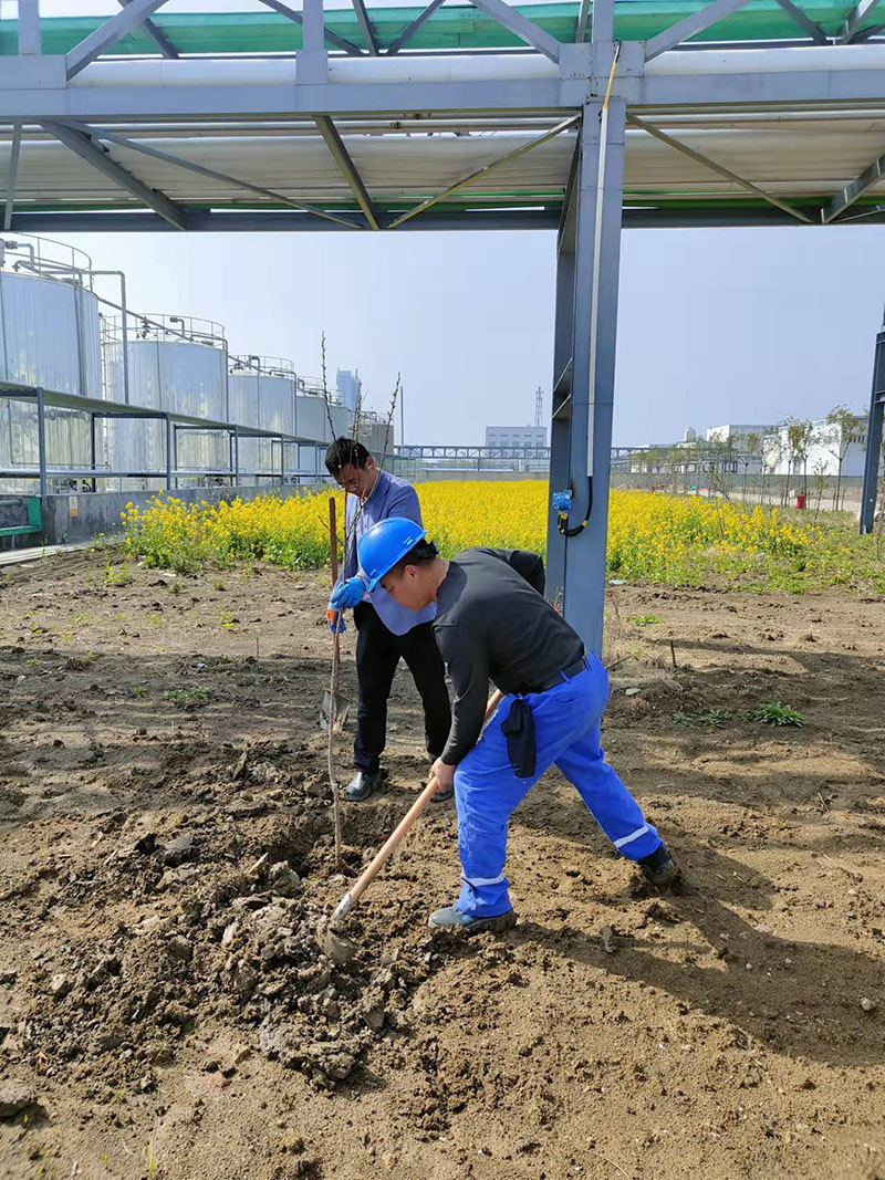 2022年3月植樹活動