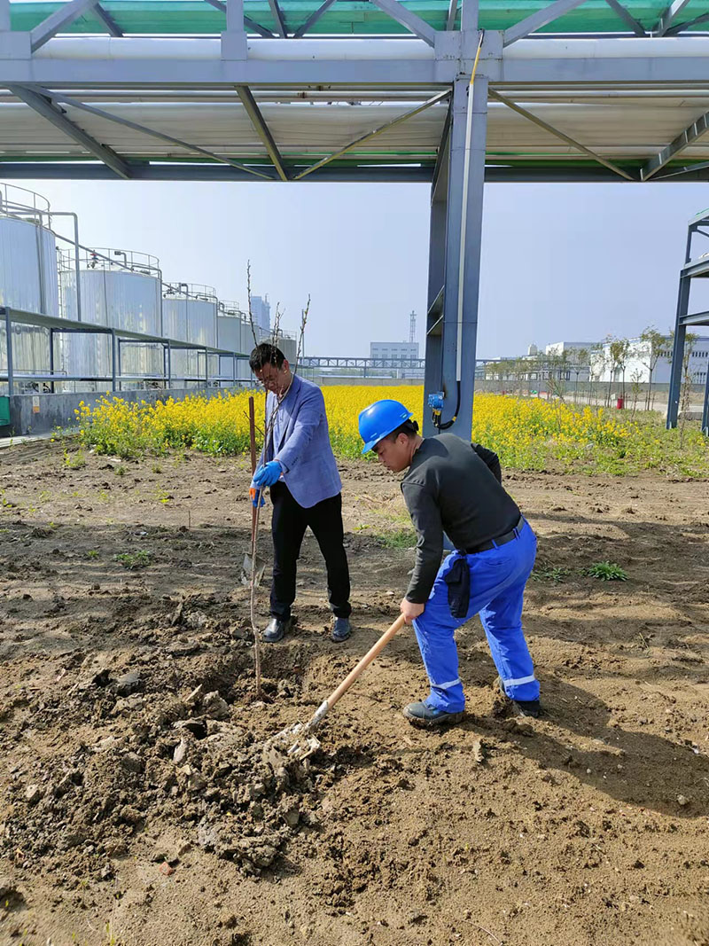 2022年3月植樹活動