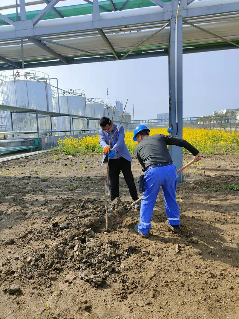 2022年3月植樹(shù)活動(dòng)