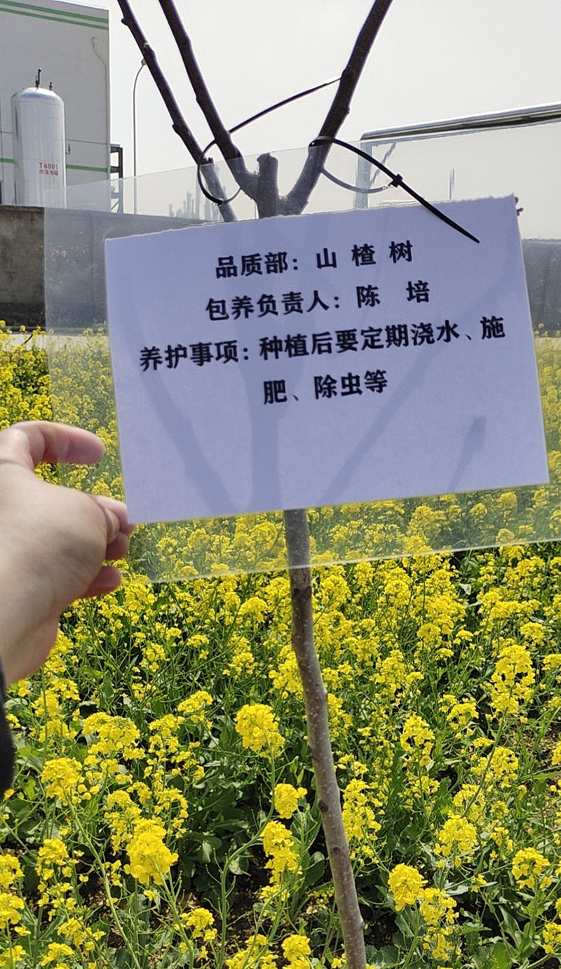 2022年3月植樹活動