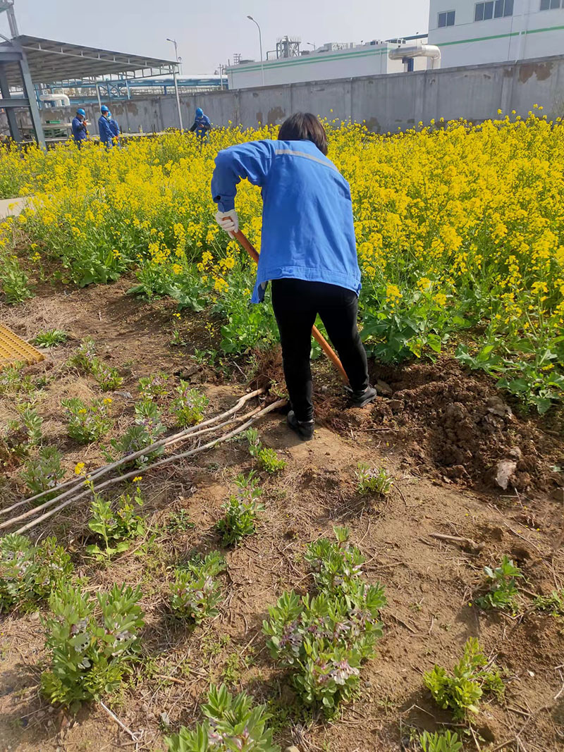2022年3月植樹活動