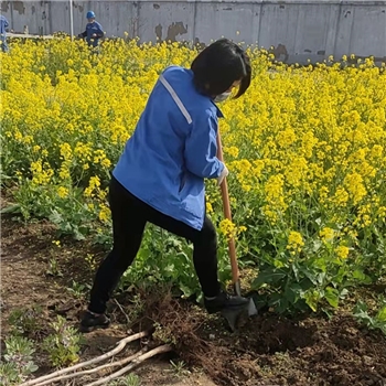 2022年3月植樹活動