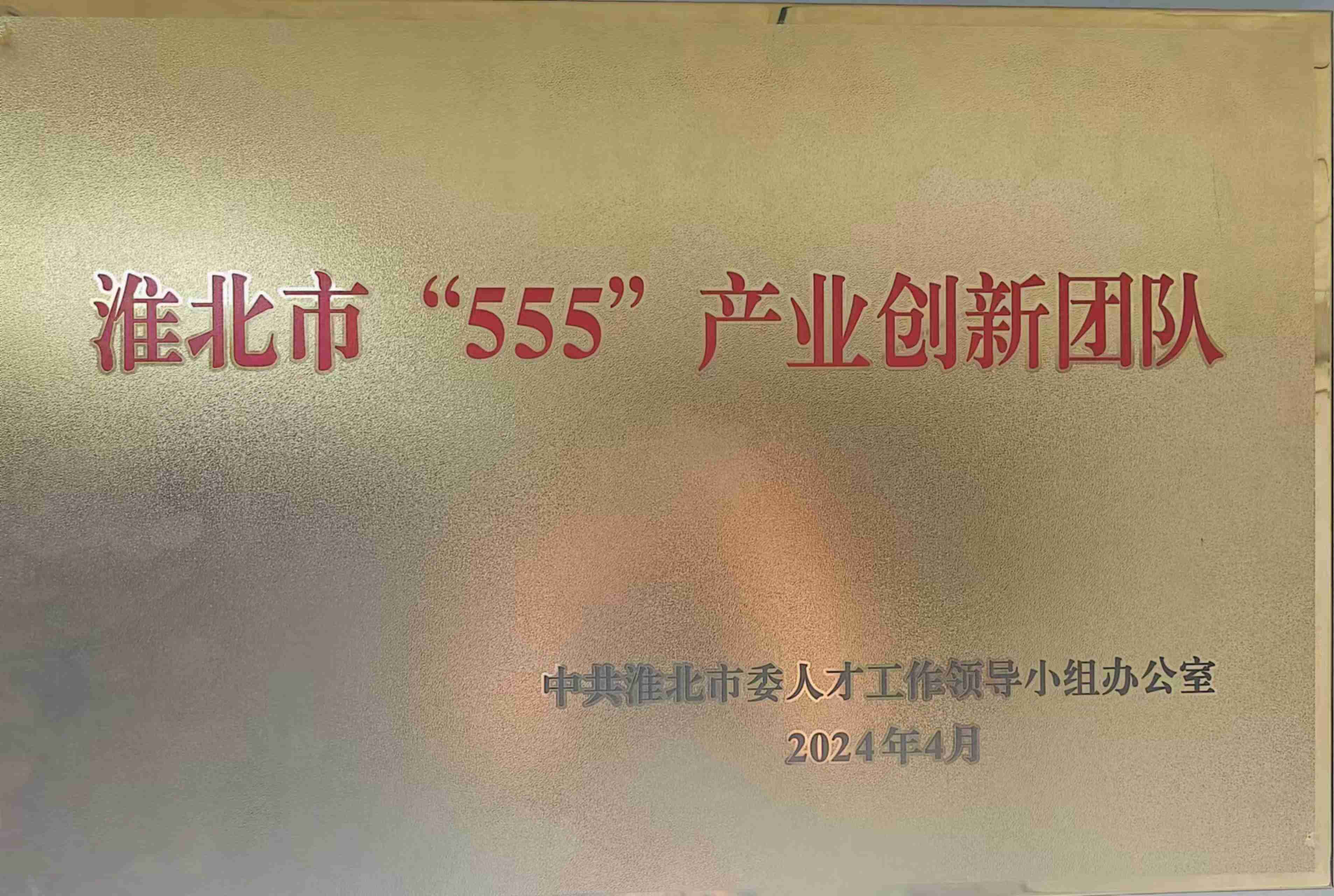2024年度淮北市“555”產(chǎn)業(yè)創(chuàng)新團(tuán)隊(duì)
