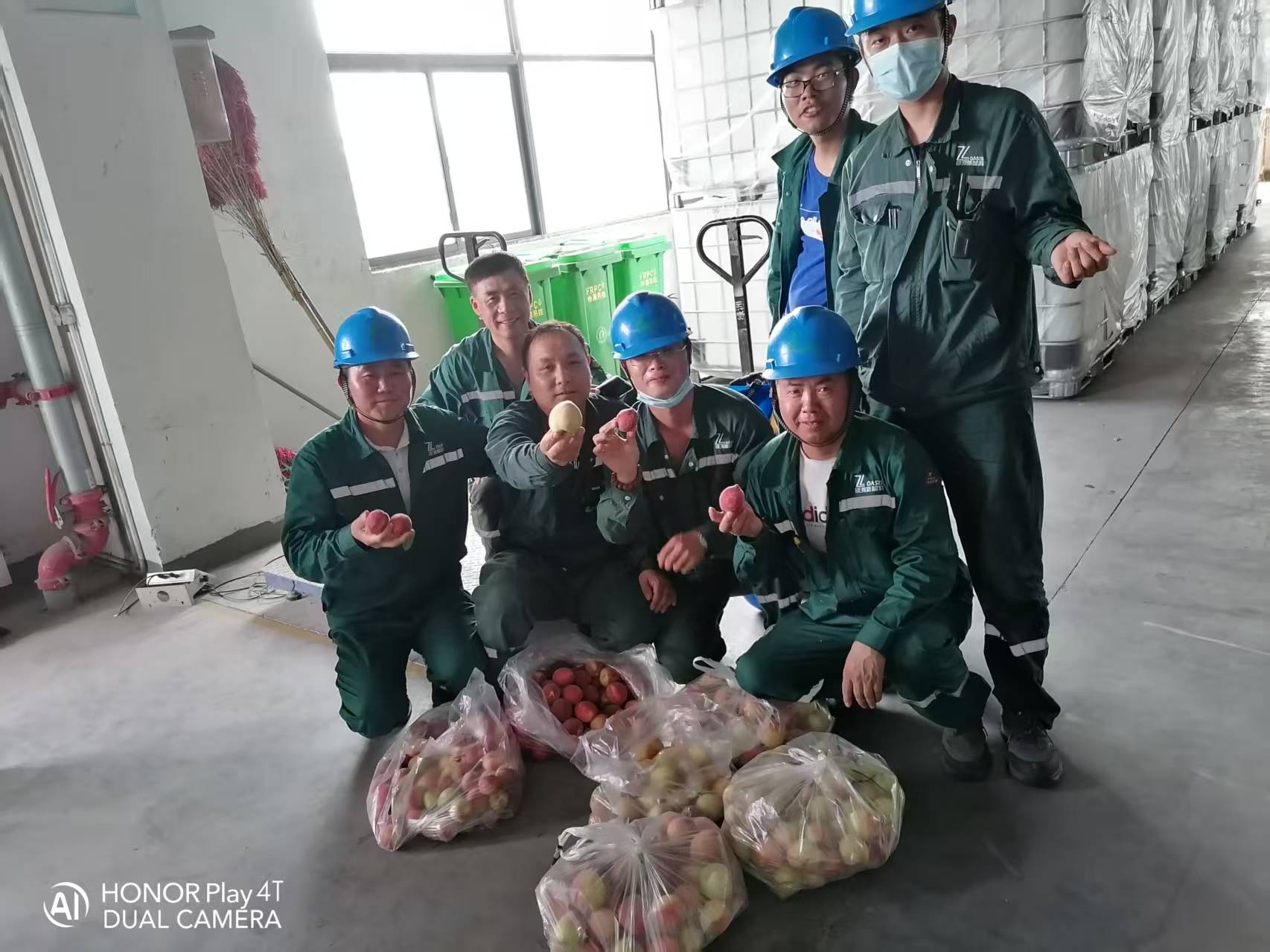 2025年6月綠洲桃園采摘活動(dòng)